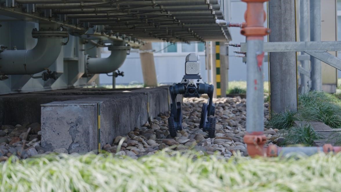 1750669284407605.jpg 图片4.jpg