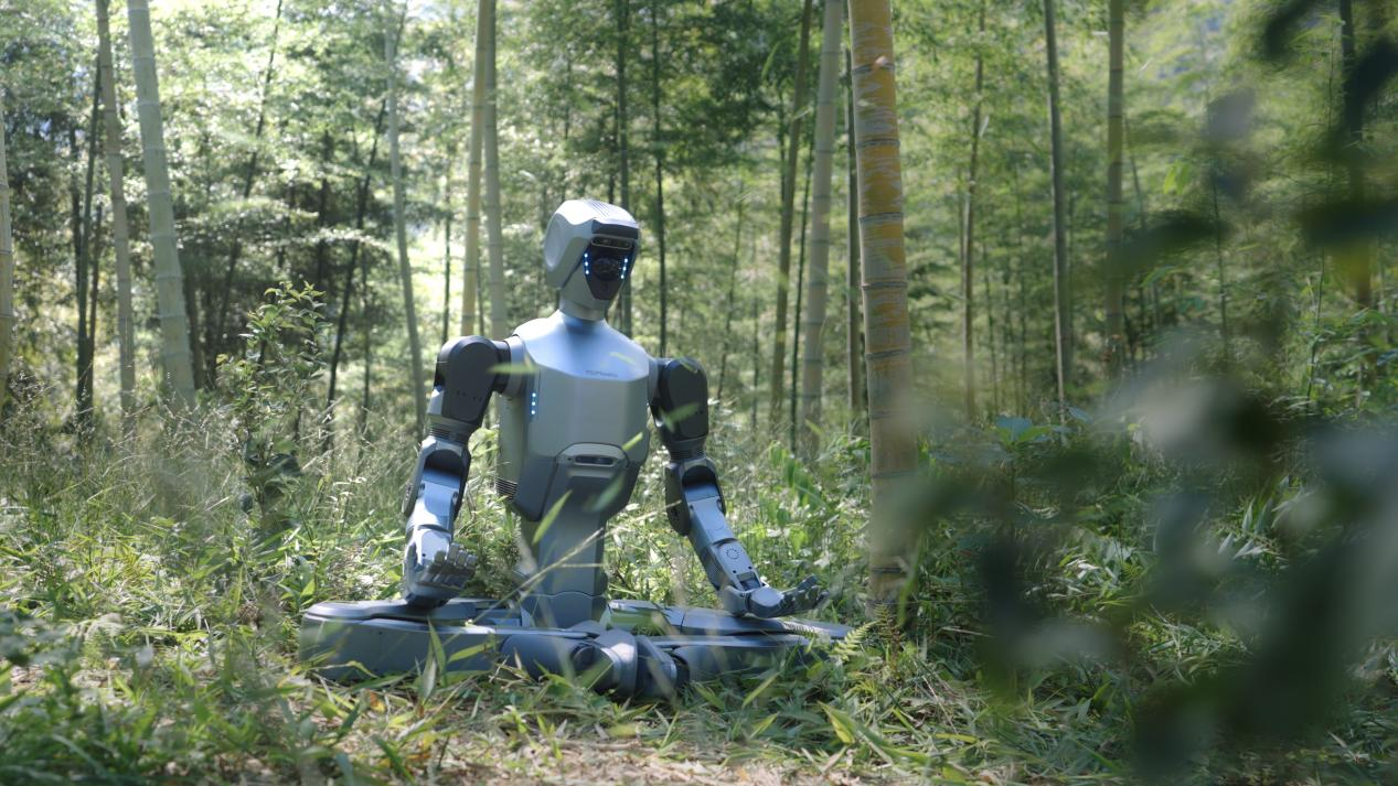 1765261155741695.png 图片111.png