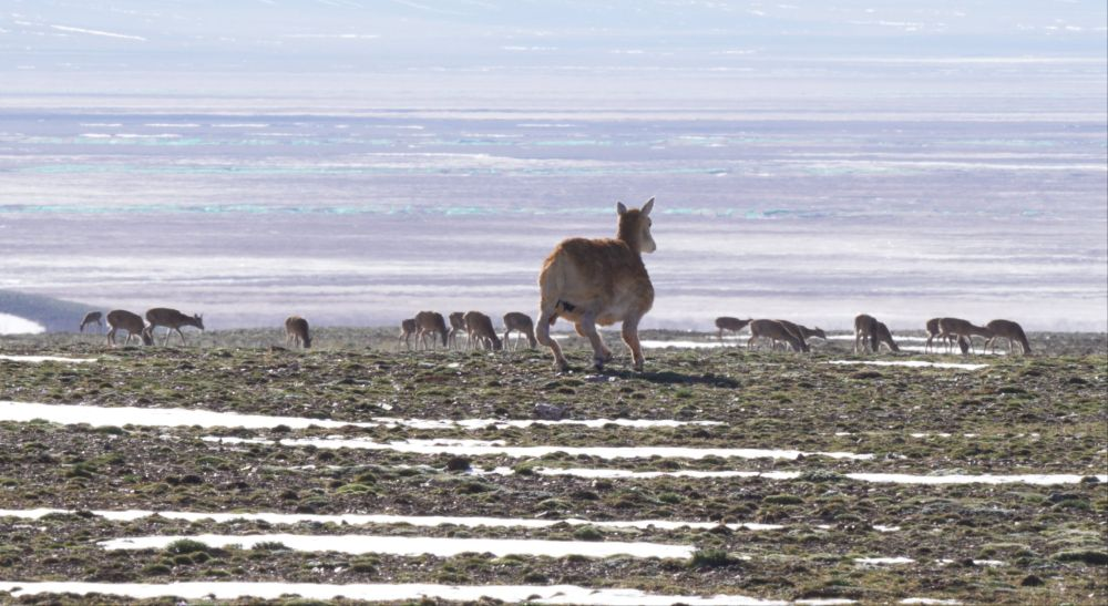 1765261548450930.png 图片1333.png